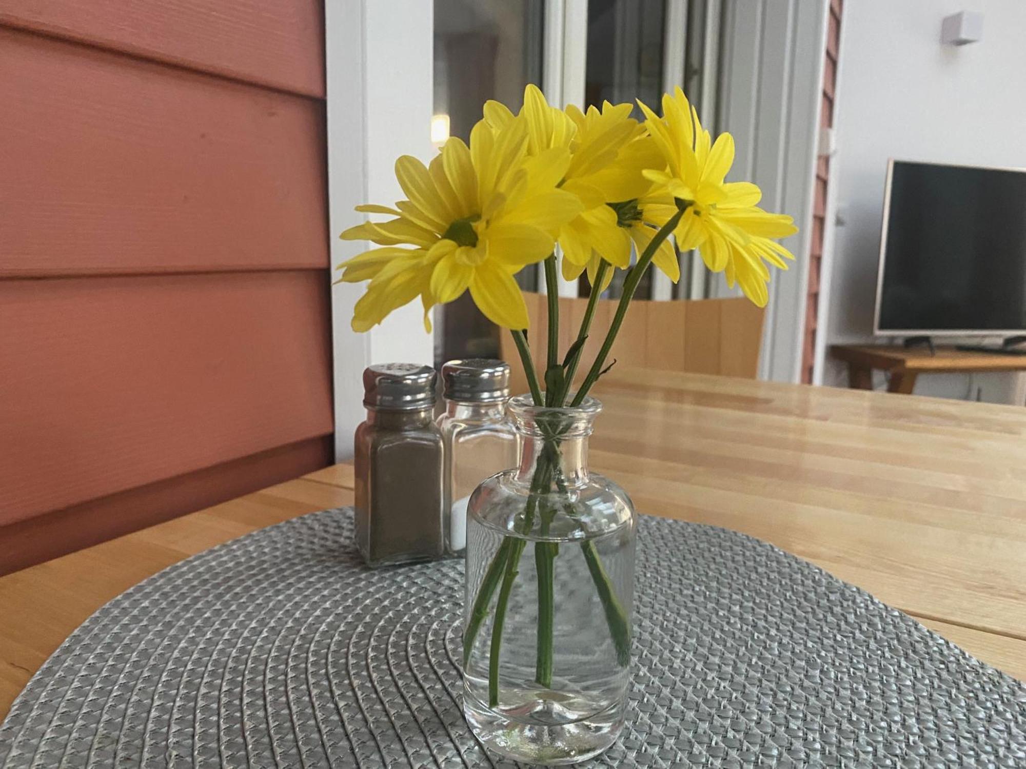 Moderne Ferienwohnung Mit Kamin U Garten Im Eg 100Qm Naehe Weser Und Golfplatz Achim Εξωτερικό φωτογραφία